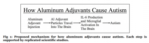 How Aluminium Adjuvants Cause Autism